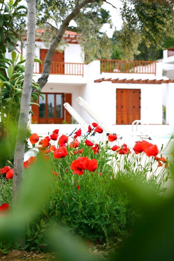 Skopelos Summer Homes Экстерьер фото