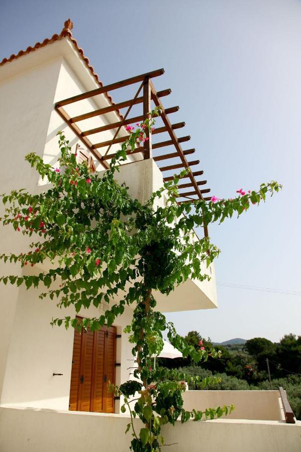 Skopelos Summer Homes Экстерьер фото